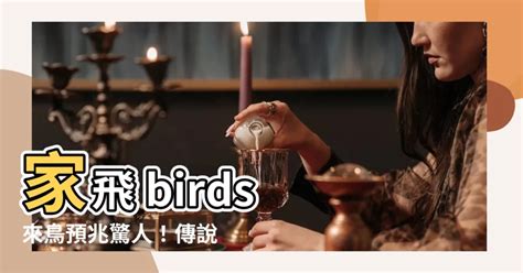 有鳥飛來家裡|【鳥來家裡】「家中突然來了一隻鳥，你知道它帶來了。